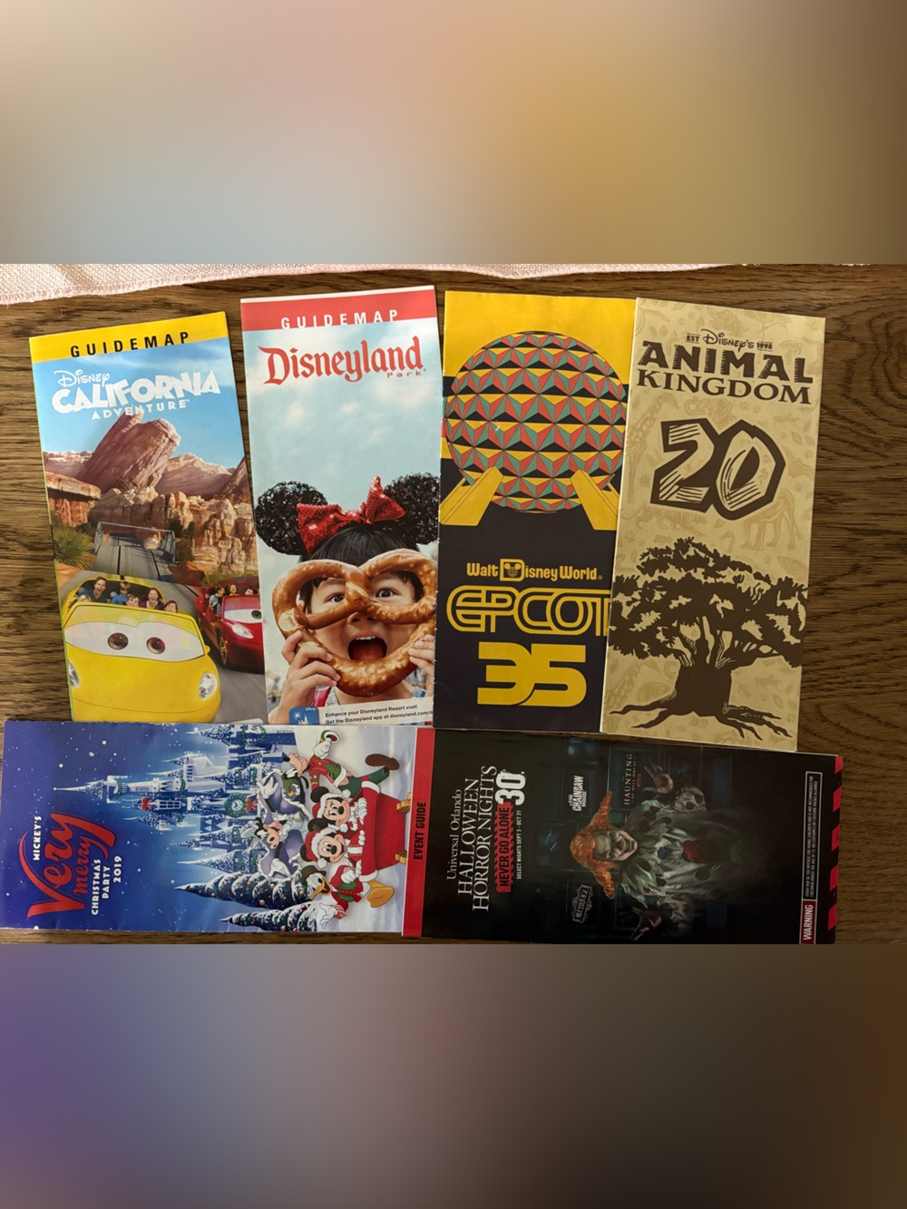 Theme park maps